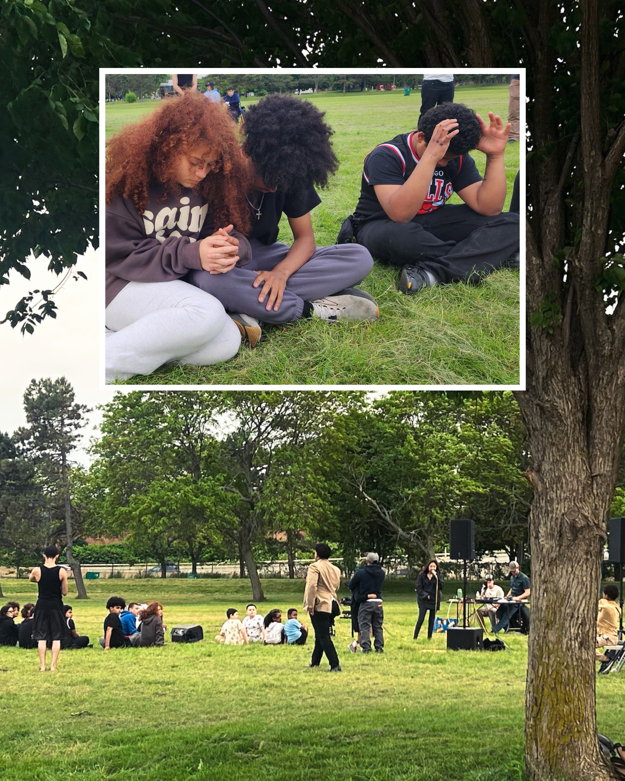 Community gathering under a tree